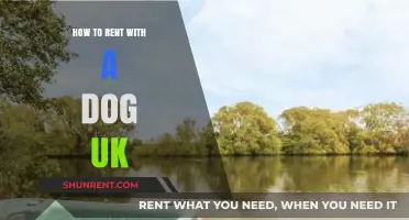 Renting with a Dog in the UK: Tips for Pet-Friendly Homes