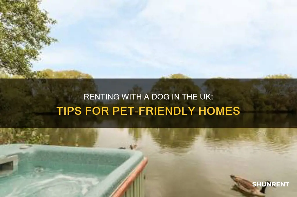 how to rent with a dog uk