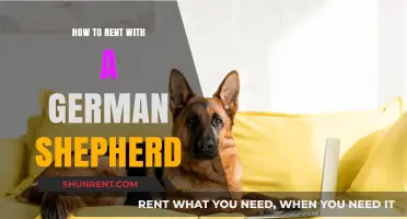 Renting with a German Shepherd: Tips for Pet-Friendly Housing Success