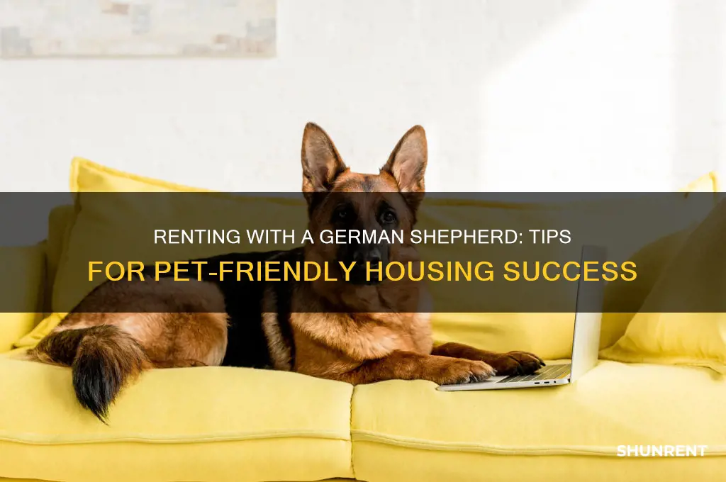 how to rent with a german shepherd