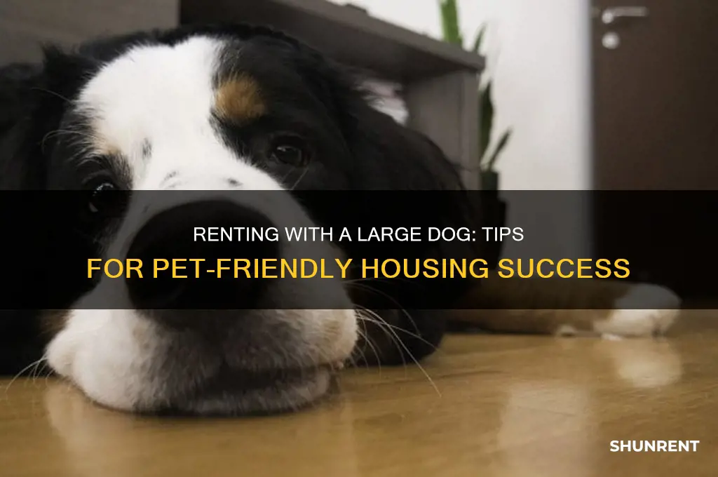 how to rent with a large dog
