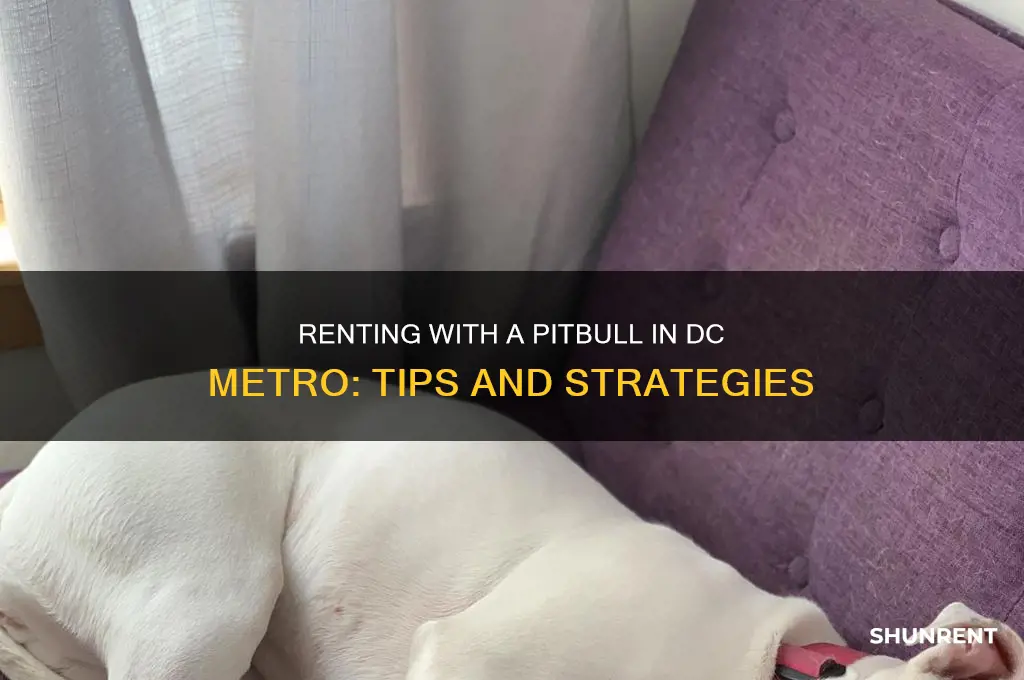 how to rent with a pitbull in dc metro area