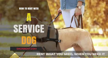 Renting with a Service Dog: Essential Tips for a Smooth Lease