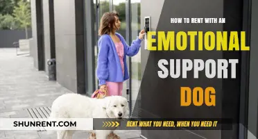 Renting with Your Emotional Support Dog: A Comprehensive Guide