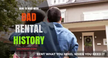 Overcoming Bad Rental History: Strategies to Secure Your Next Lease