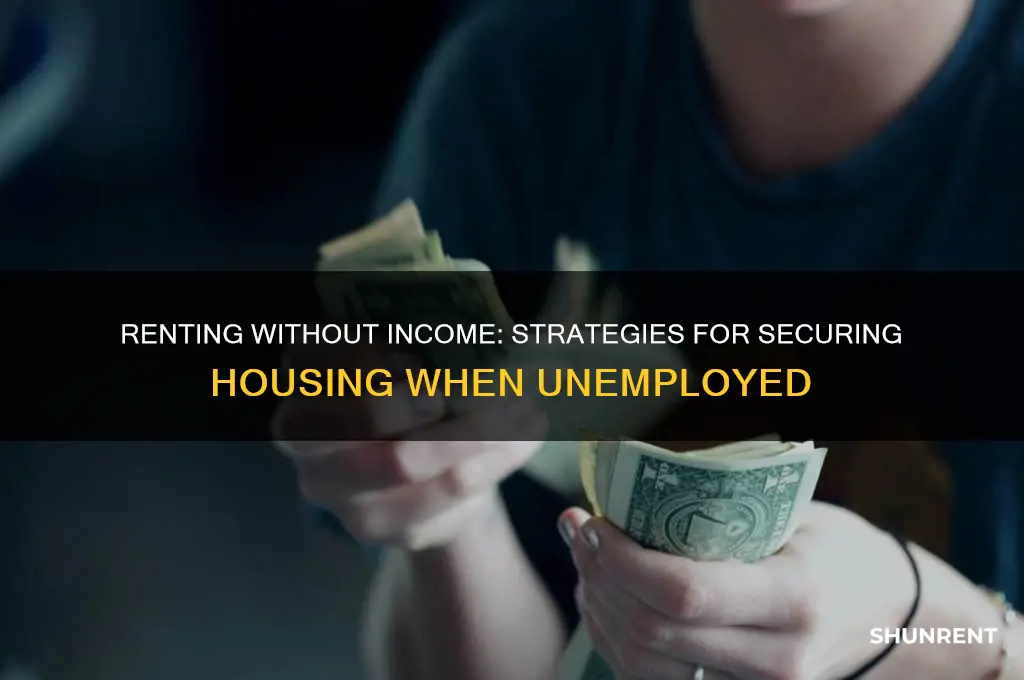 how to rent with no current in income