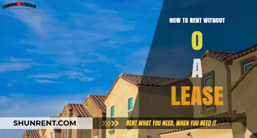 Renting Without a Lease: Tips for Flexible Housing Arrangements