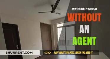 Rent Your Flat Independently: A Step-by-Step Guide to Agent-Free Leasing