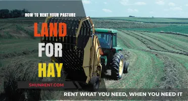 Maximize Income: Renting Your Pasture Land for Hay Production