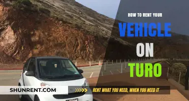 Maximize Earnings: A Step-by-Step Guide to Renting Your Vehicle on Turo