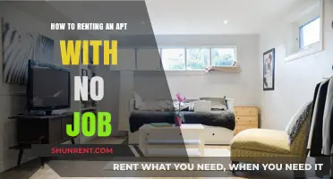 Renting an Apartment Without a Job: Strategies for Success