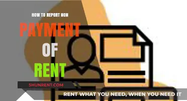 Reporting Non-Payment of Rent: A Step-by-Step Guide for Landlords