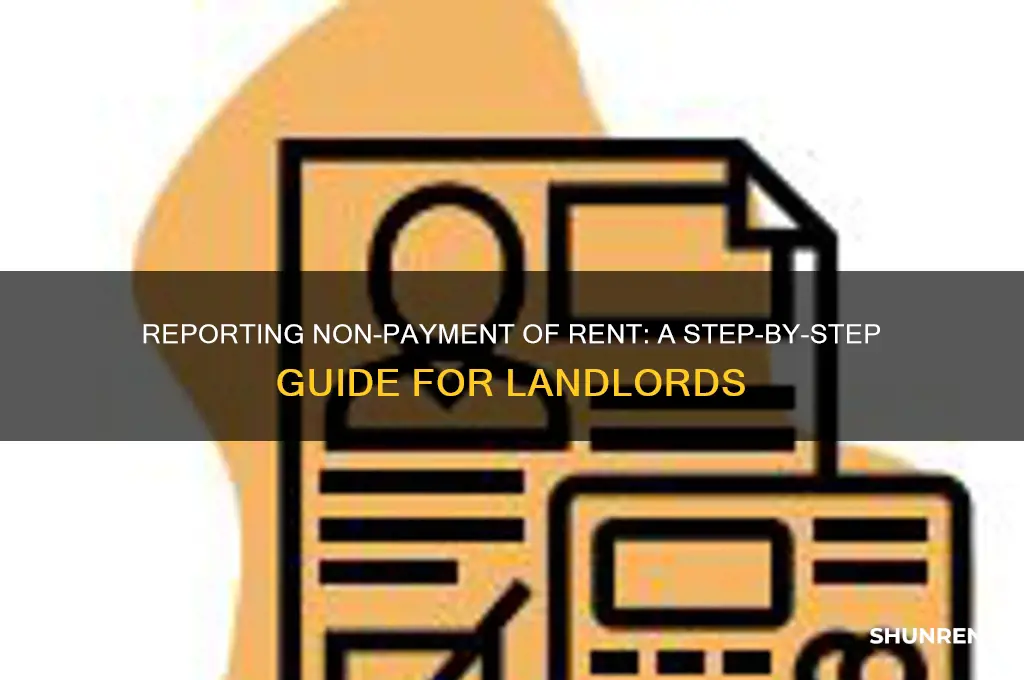 how to report non payment of rent