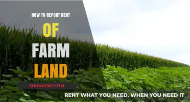 Reporting Farm Land Rent: A Step-by-Step Guide for Landowners