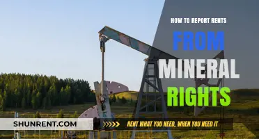 Reporting Mineral Rights Rents: A Step-by-Step Guide for Landowners
