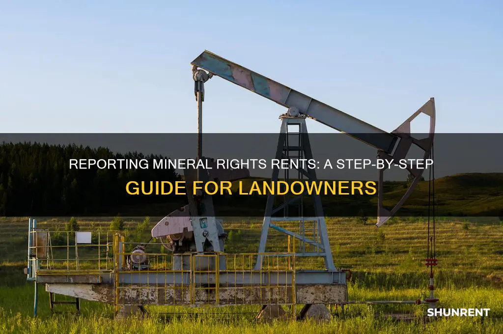 how to report rents from mineral rights