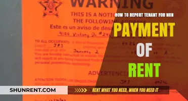 Evicting a Tenant: Reporting Rent Defaulters