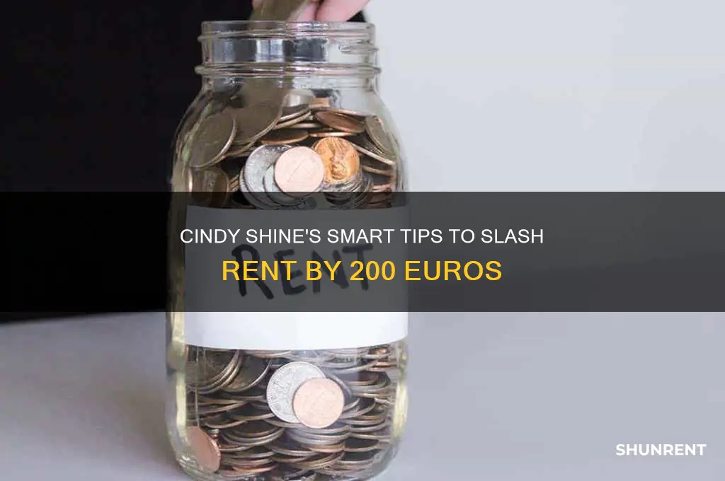 how to save 200 euros on rent cindy shine