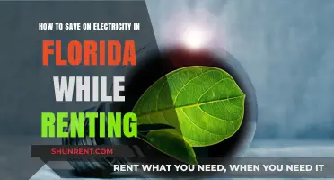 Renting in Florida? Smart Tips to Slash Your Electricity Bills
