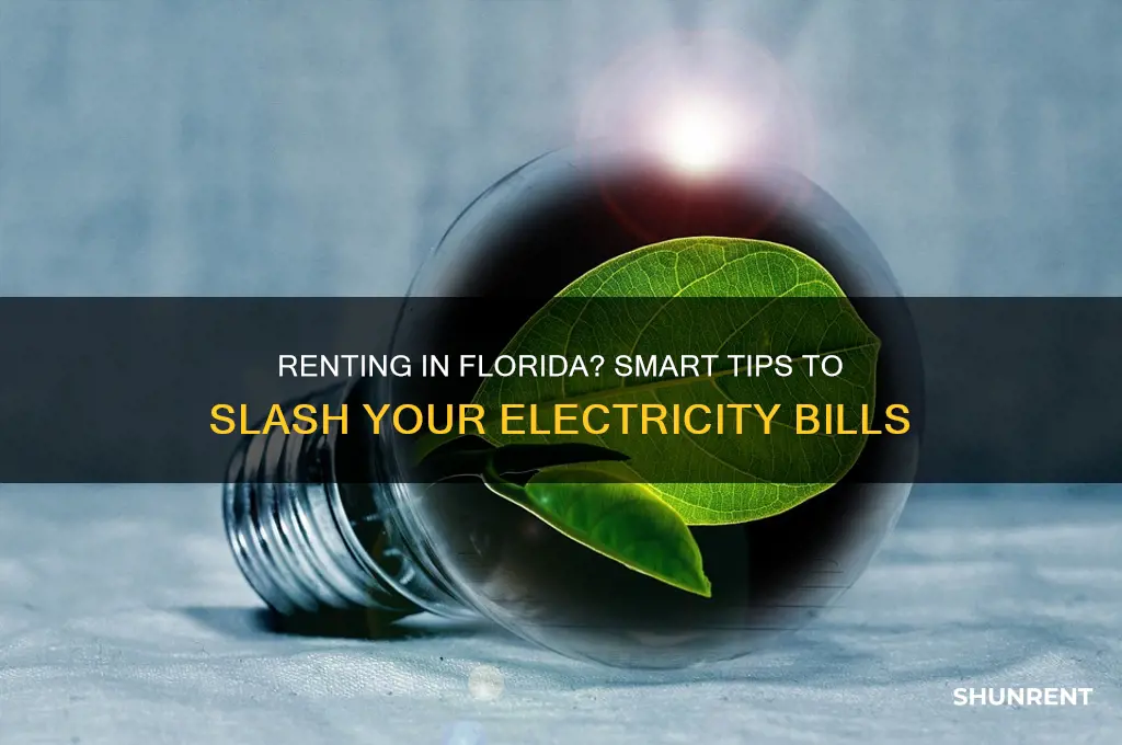 how to save on electricity in florida while renting