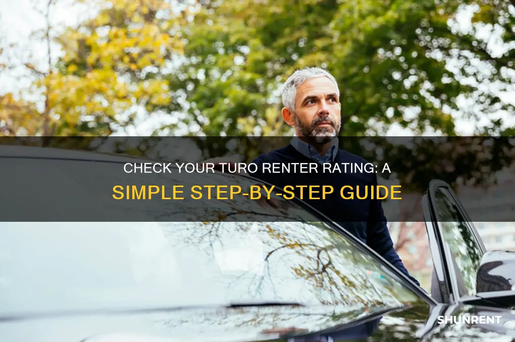 how to see your turo rating as a renter