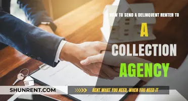 Dealing with Delinquent Renters: A Guide to Using Collection Agencies