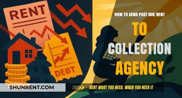 Sending Past Due Rent to Collections: A Landlord's Step-by-Step Guide
