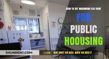 Setting Fair Maximum Flat Rents for Public Housing: A Comprehensive Guide