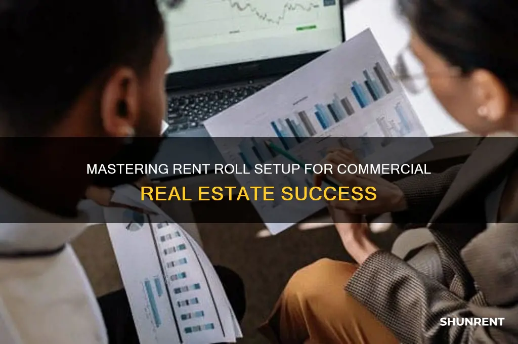 how to set up a rent roll commercial real estate