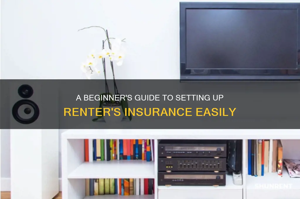 how to set up renter