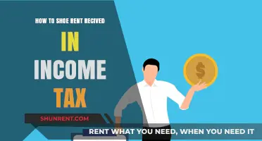 How to Report Rental Income on Your Income Tax Return