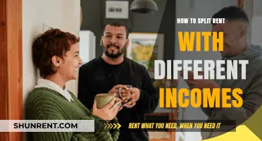 Fair Rent Splitting Strategies for Roommates with Varying Incomes