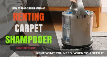 Spot Cleaning Secrets: Avoid Carpet Shampooer Rentals with These Tips