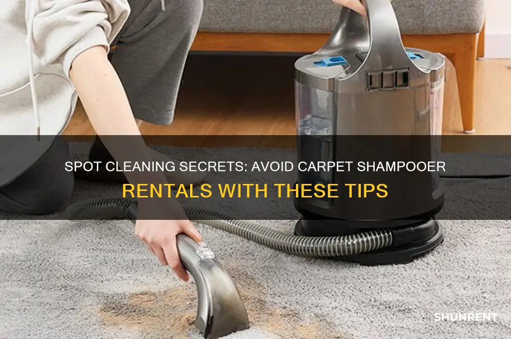 how to spot clean instead of renting carpet shampooer