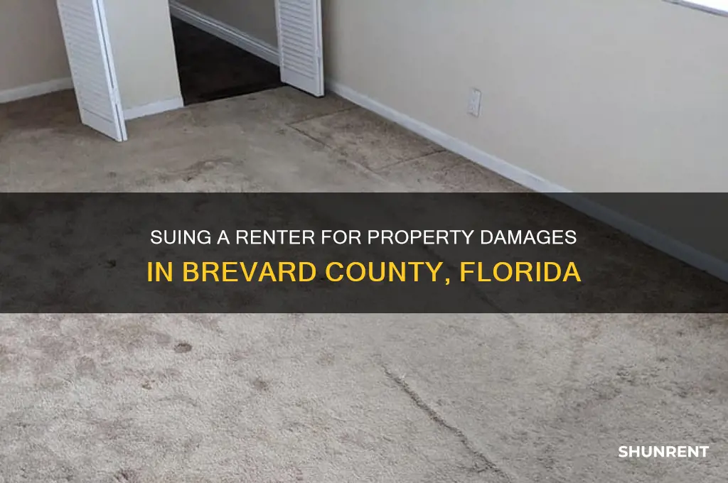 how to sue a renter for damages brevard fl
