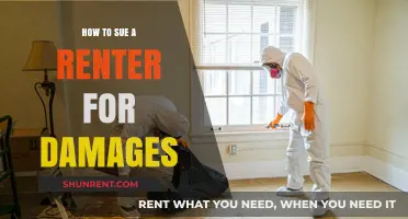 Suing a Renter for Property Damages: A Step-by-Step Legal Guide