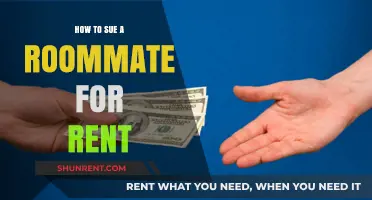 Suing Your Roommate for Unpaid Rent: A Step-by-Step Legal Guide
