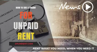 Legal Guide: Suing Tenants for Unpaid Rent and Recovering Losses