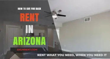 Arizona Back Rent Recovery: A Step-by-Step Guide to Suing for Unpaid Rent
