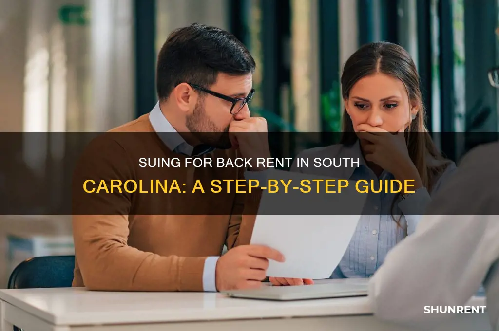 how to sue for back rent south carolina