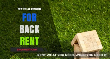Sue for Back Rent: A Step-by-Step Guide to Recovering Unpaid Rent