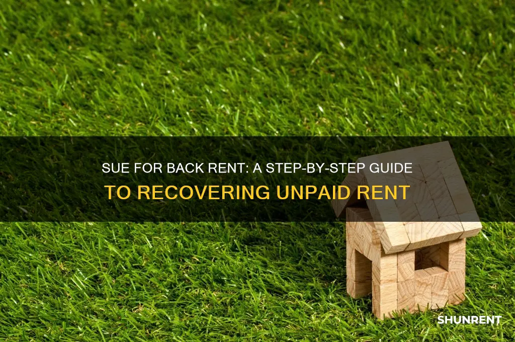 how to sue someone for back rent