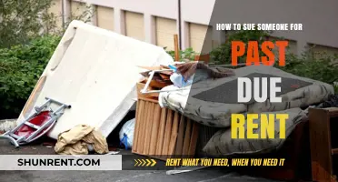 Suing for Past Due Rent: A Step-by-Step Legal Guide