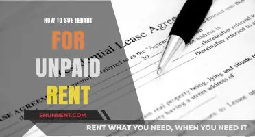 Suing Your Tenant for Unpaid Rent: A Step-by-Step Legal Guide