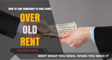 Suing for Unpaid Rent: A Step-by-Step Guide to Civil Court