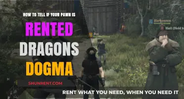 Is Your Pawn a Rented Dragon? Dragon's Dogma Tips to Tell