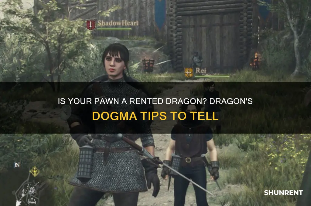 how to tell if your pawn is rented dragons dogma