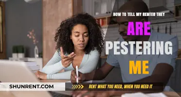 Setting Boundaries: How to Address a Pesterer Renter Effectively