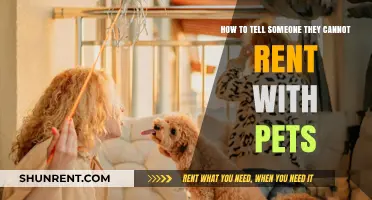Navigating Pet Restrictions: How to Politely Decline Pet-Friendly Rentals