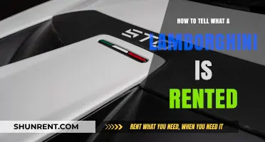 Spotting a Rented Lamborghini: Key Signs and Indicators